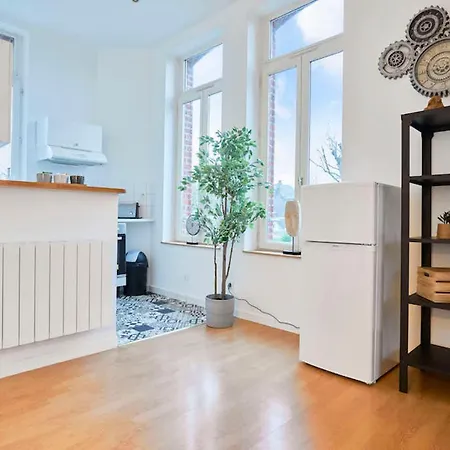 公寓 Locationstourcoing - Le Duplex *